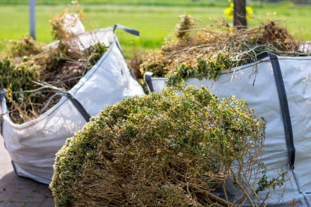 Best Office Junk Removal  in Mccoll, SC